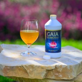 Gaia Collagen Protein® 473ml - kolagen I. a III. typu obohacený enzymy - vstřebávání 98% - balení po 3 ks
